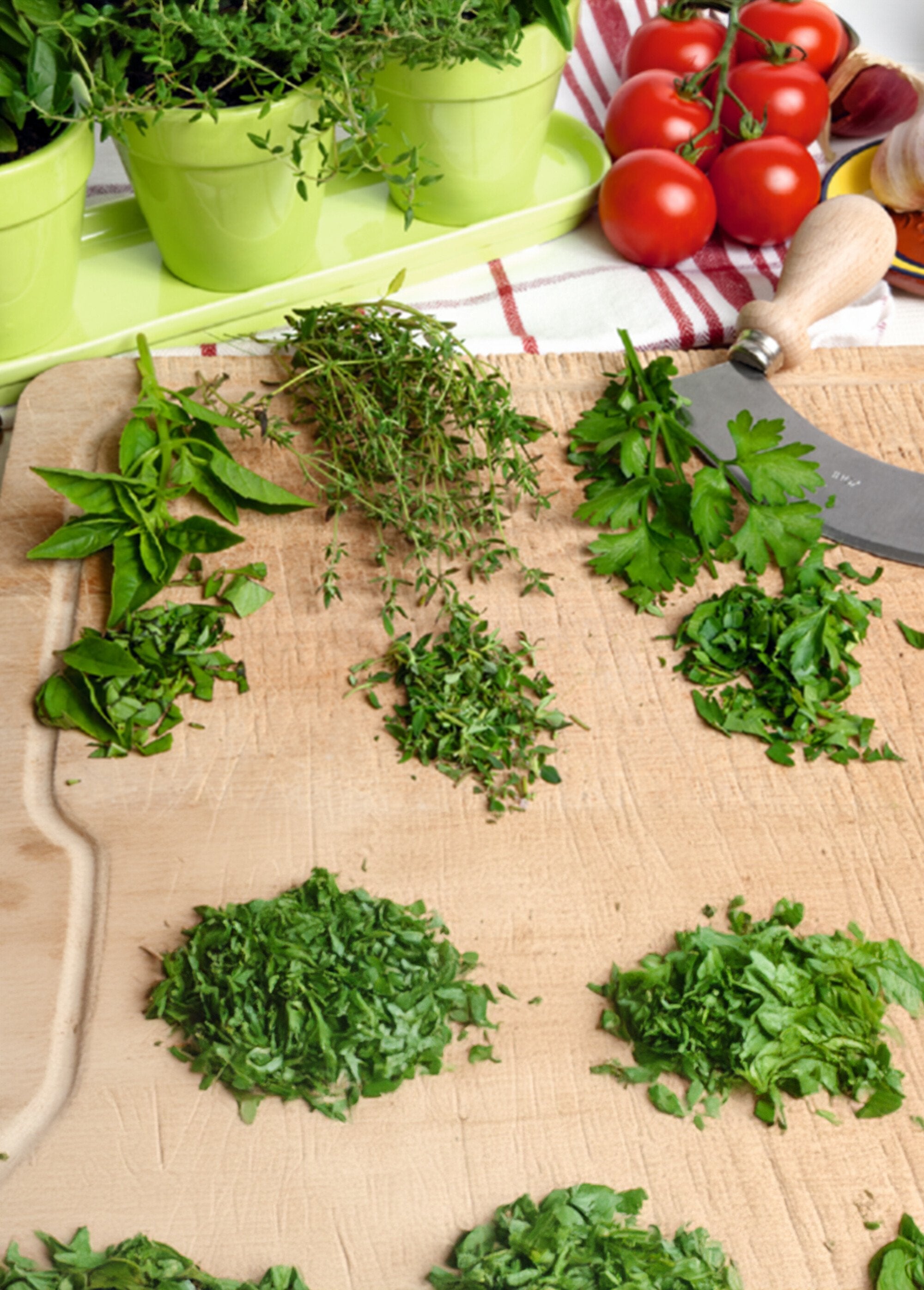 3_macetas_de_plantones_de_albahaca,_perejil_y_tomillo_Verde_DE1_slim