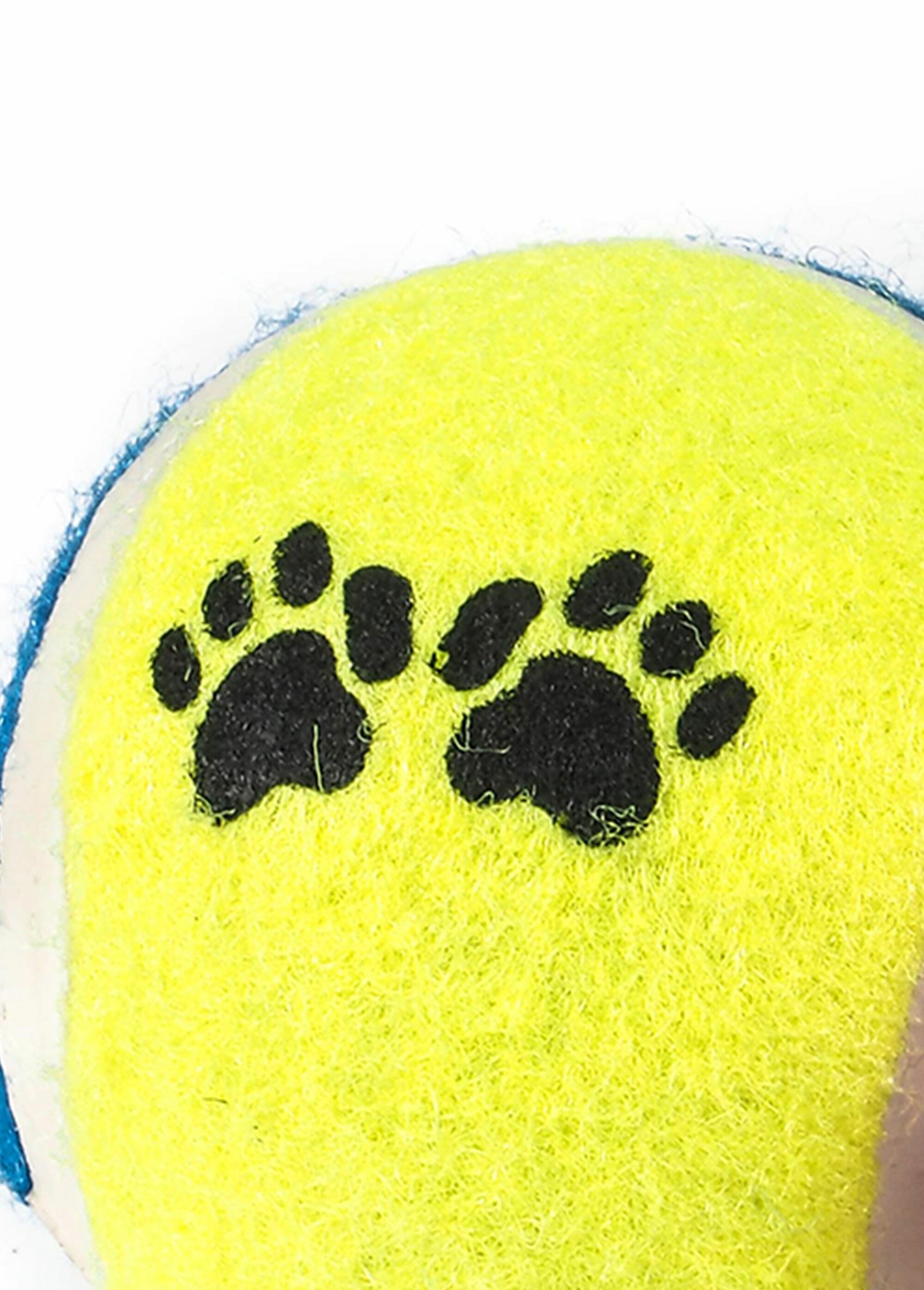 Set_de_3_pelotas_de_tenis_para_perros_Jaune_DE1_slim