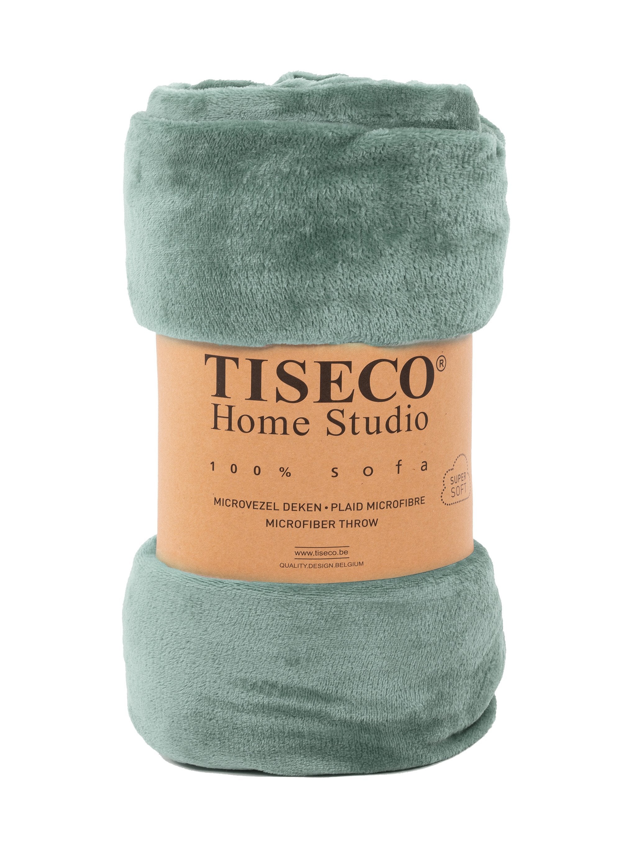 Manta_grande_lisa_de_forro_polar,_2_m_x_1,5_m_Verde_salvia__DE1_slim