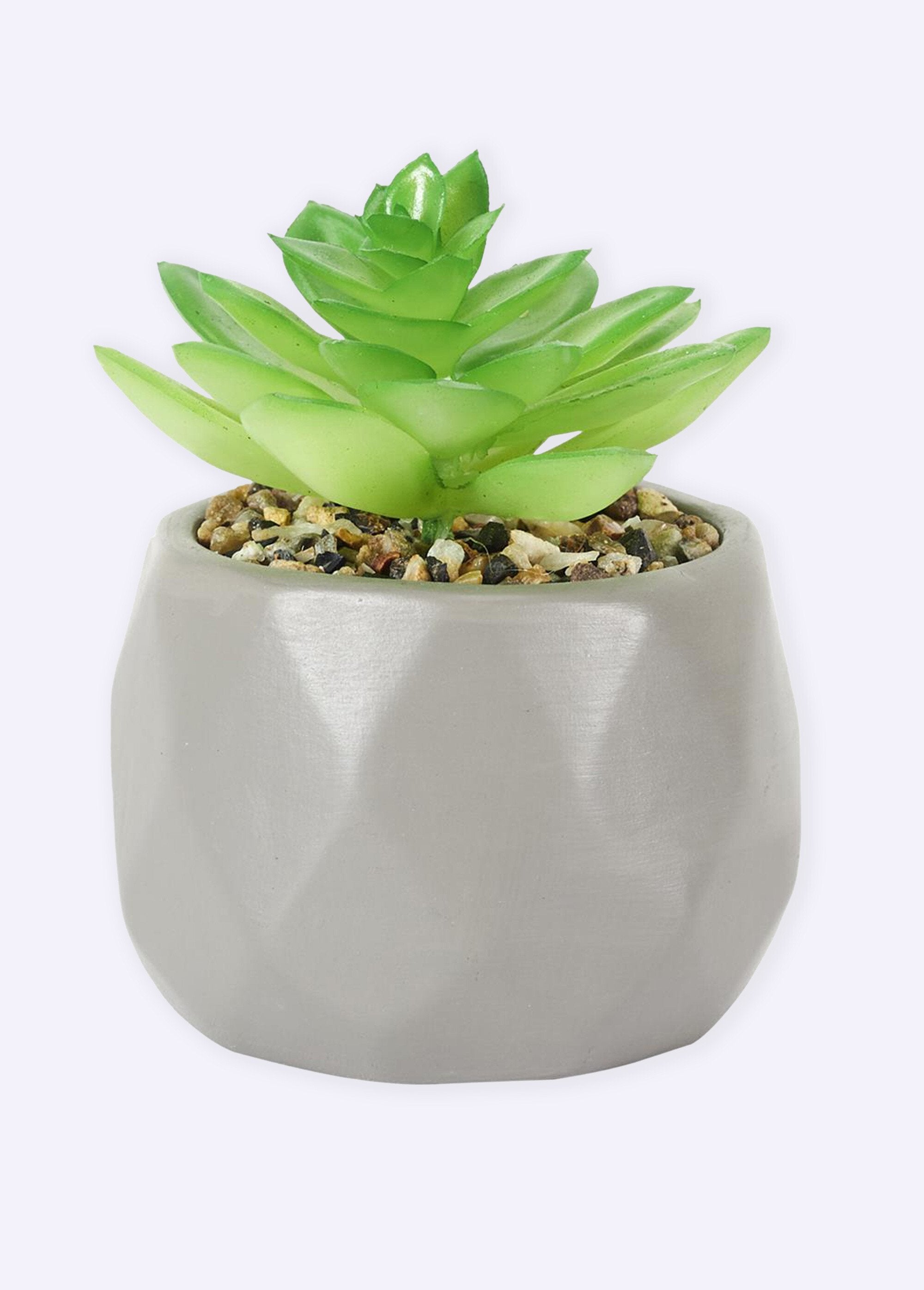 Planta_artificial_+_maceta_de_origami_Gris_FA1_slim